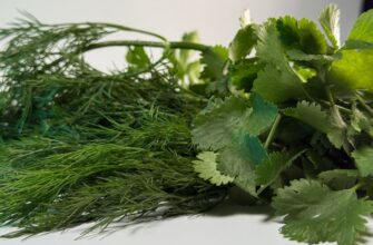 Зелень:укроп, петрушка, лук.