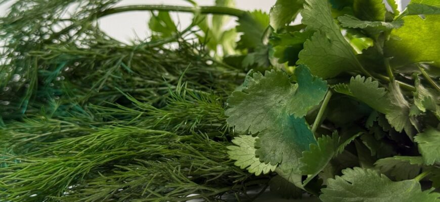 Зелень:укроп, петрушка, лук.