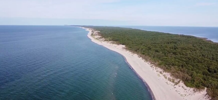 Куршская коса в Калининградской области