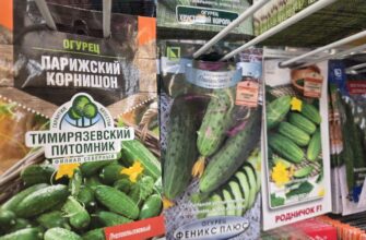 Семена огурцов