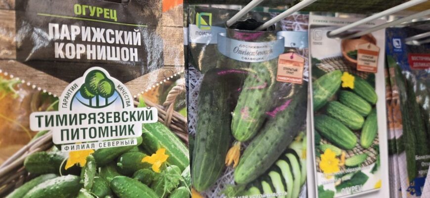 Семена огурцов
