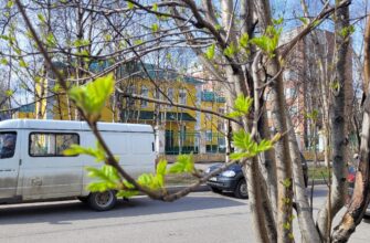 Улицы Мурманска весной