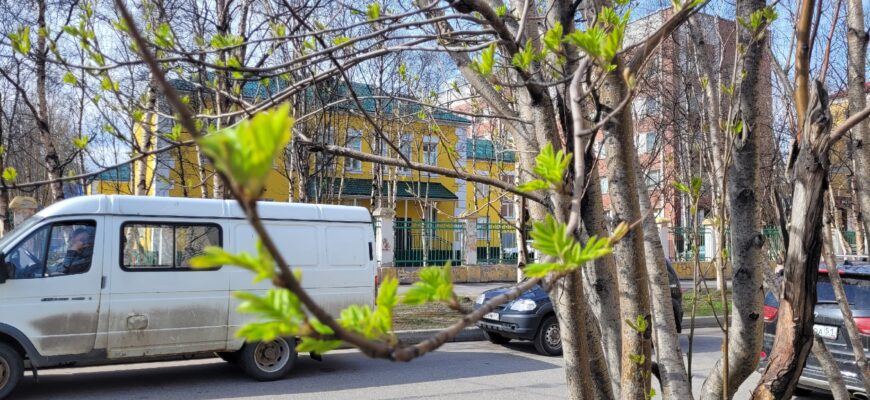 Улицы Мурманска весной