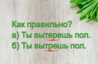 Задачка на написание «Вытерешь» или «вытрешь»