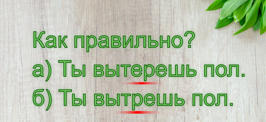 Задачка на написание «Вытерешь» или «вытрешь»