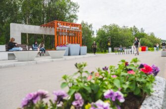 Лето в Мурманской области