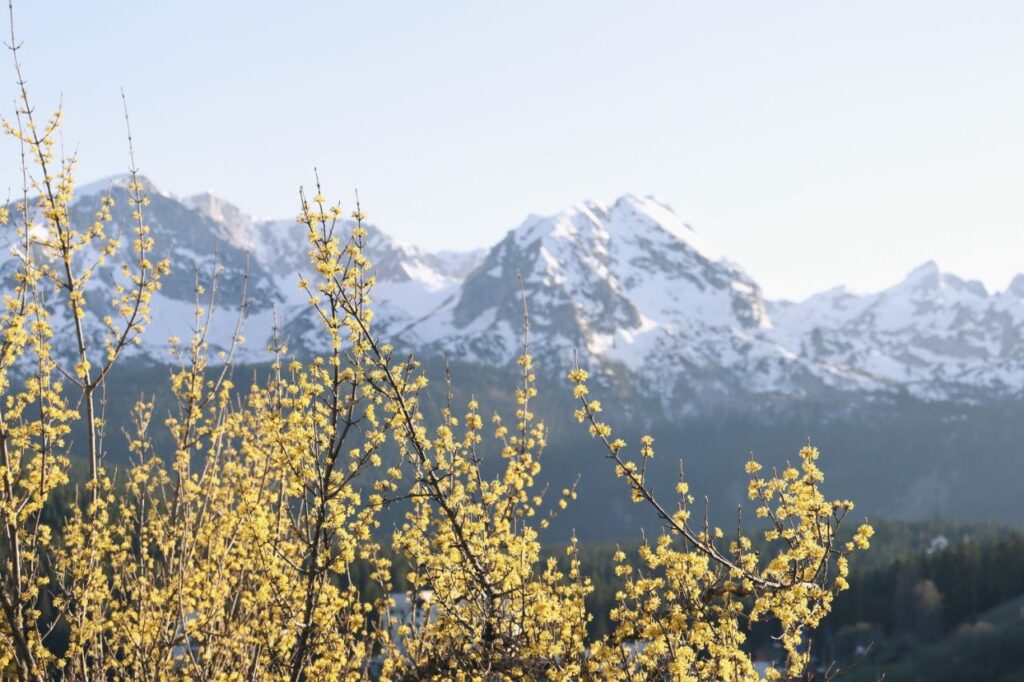 Черногория вводит визы для россиян: что успеть посмотреть до 1 ноября