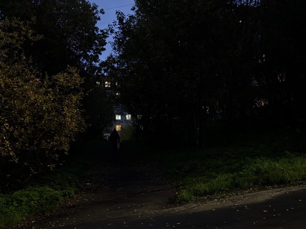 «К концу октября будет»: Иван Лебедев пообещал установить освещение на тропинке на улице Гагарина в Мурманске